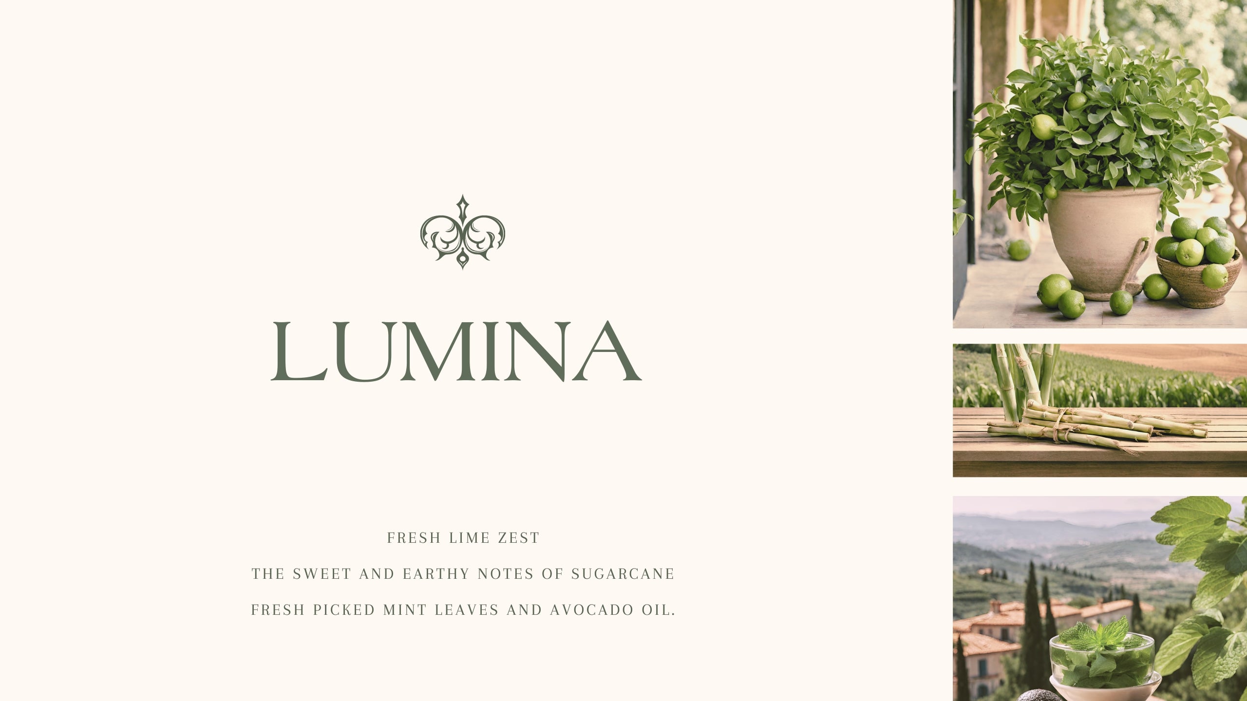 Light up your space with "Lumina"
