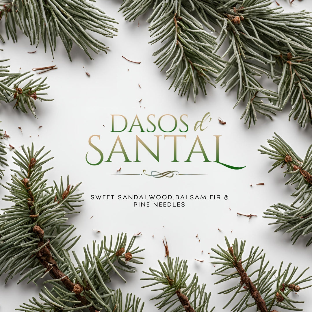 Dasos d' Santal  (15oz Double Wick) - Notes: Santal, Balsam Fir & Pine Needles