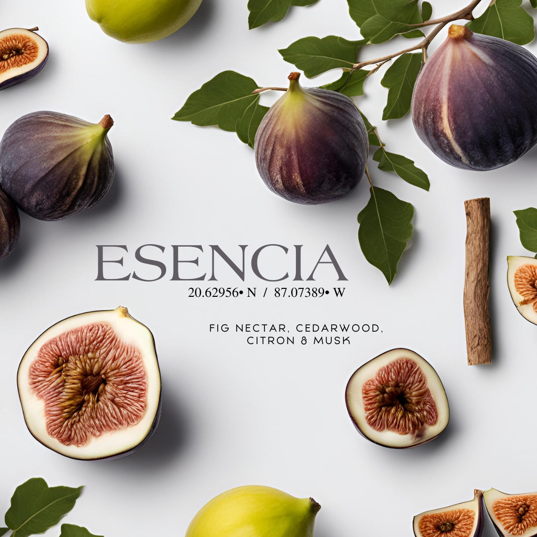Esencia 20° 87° (14 oz Double Wick) - Notes: Fig Nectar, Cedarwood, Citron, Zest, Benzoin & Musk