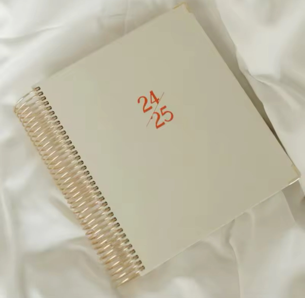 2025 Agenda Planner (Book)